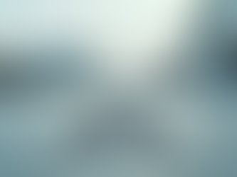 Flat Roof Inspection Essentials and Flat Roof Maintenance Tips