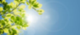 iStock-646559092.jpg
