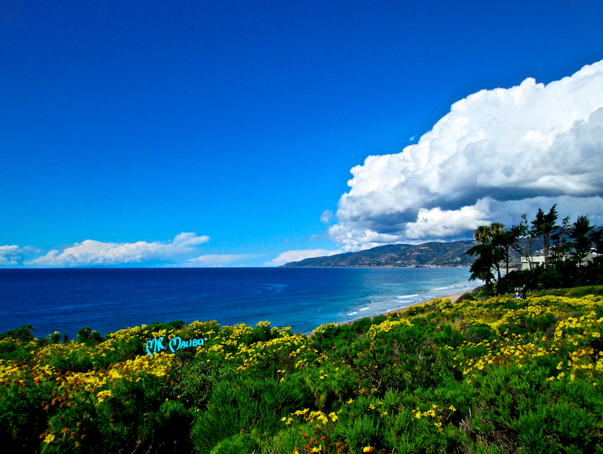 Bright Spring View from Point Dume