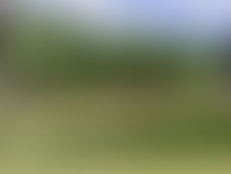 Amphitheaters, Roofing, & Cabins - Oh my!