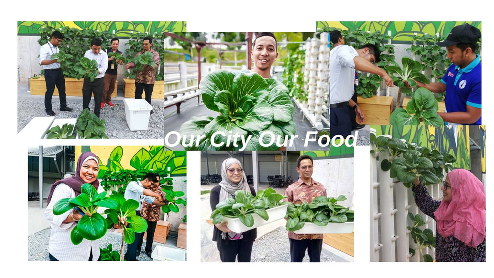 How aquaponics reduce our environmental impact