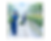 ree