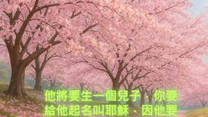 Peace 20250716