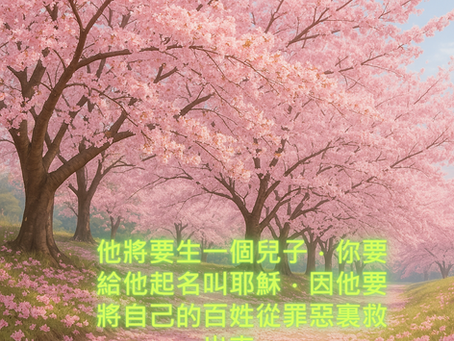 Peace 20250716