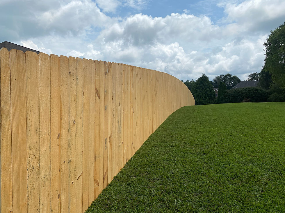 481210307_952411186870766_854820117426755040_n