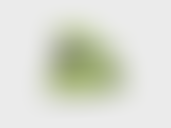 New Balance 1080v15: a refined approach to everyday running