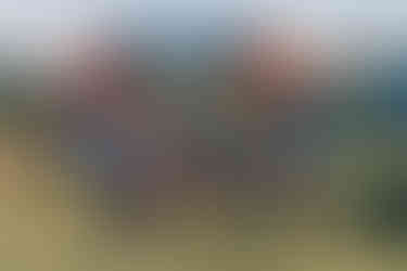 Runners smiling at the finish/start line of Mont-Aux Sources Ultra Trail in Drakensberg