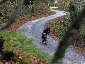 On the path of the bear