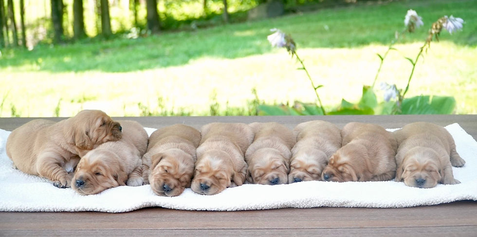 Boys on the left - girls right