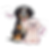 mollyandoos