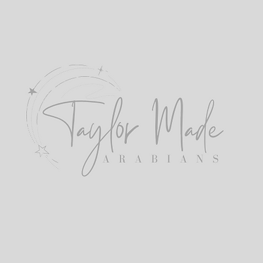 Taylor Made.png
