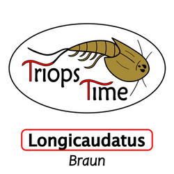 Triops Time Logo in braun, speziell angepasst für Triops Longicaudatus Braun