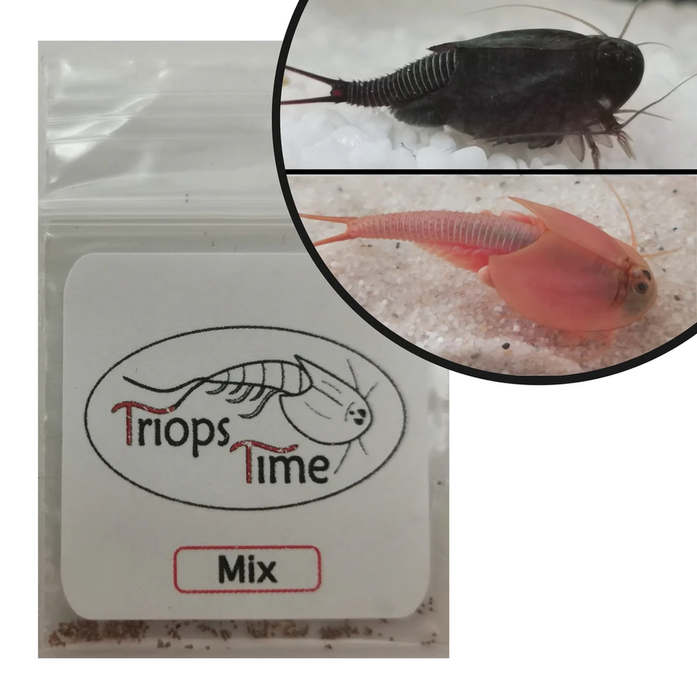 Tütchen mit Triops Mix-Eiern zum Ansetzen