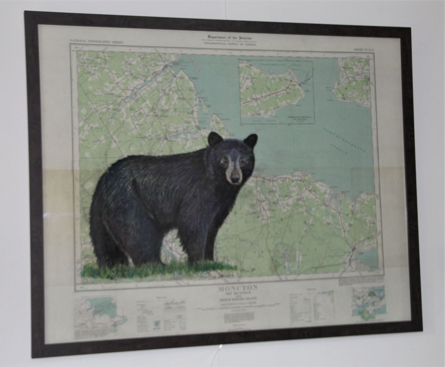 Black Bear on Map of Canada (Moncton, New Brunswick & Prince Edward Island