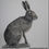 Thumbnail: Hare