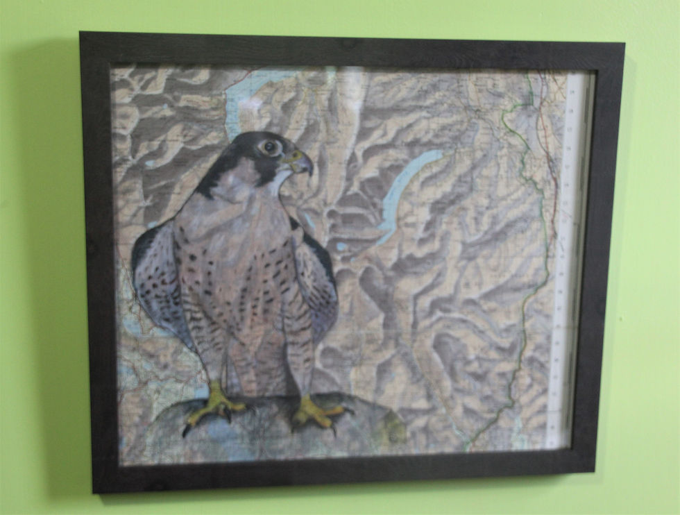 Peregrine falcon on vintage map (Lake District)