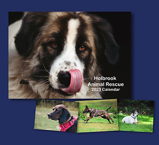 Our 2023 Calendar (2).png