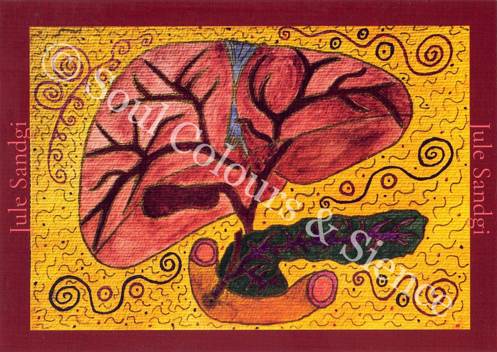 Anatomie Postkarten - Leber