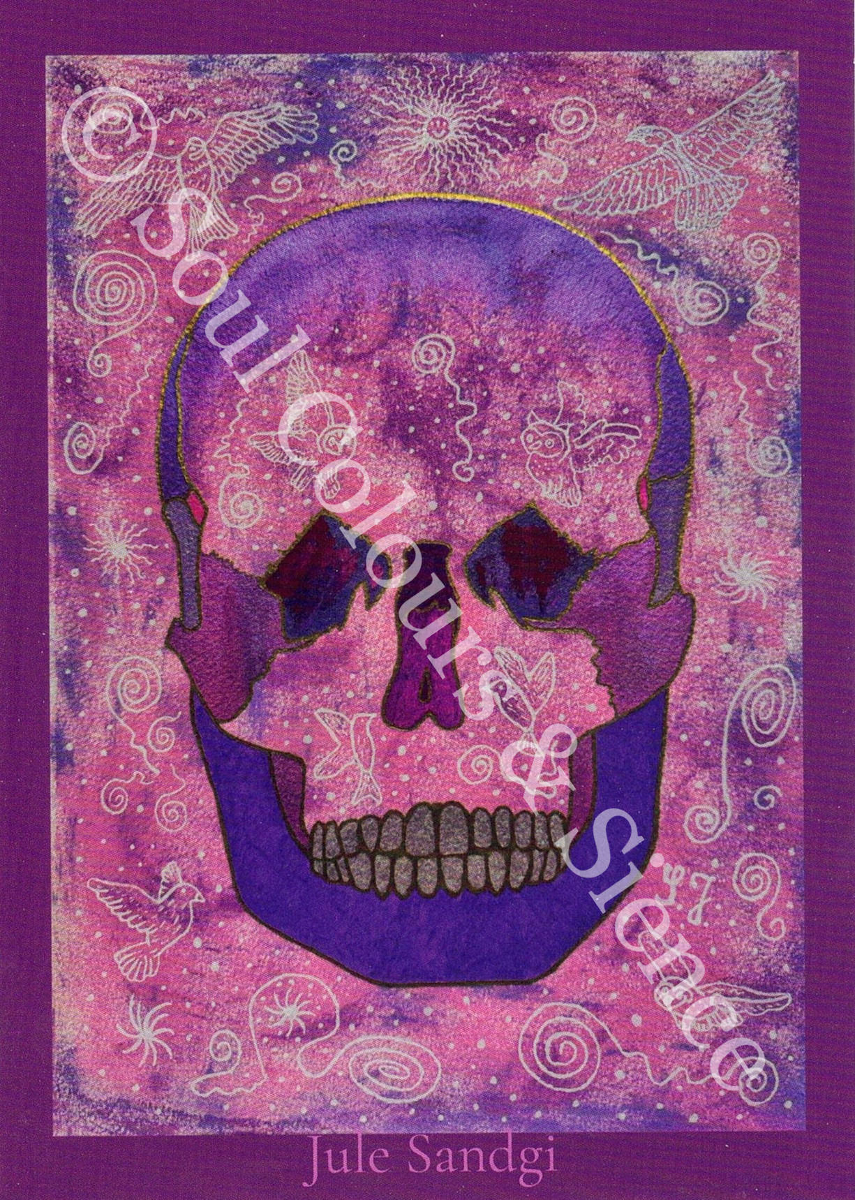 Anatomie Postkarten - Schädel frontal