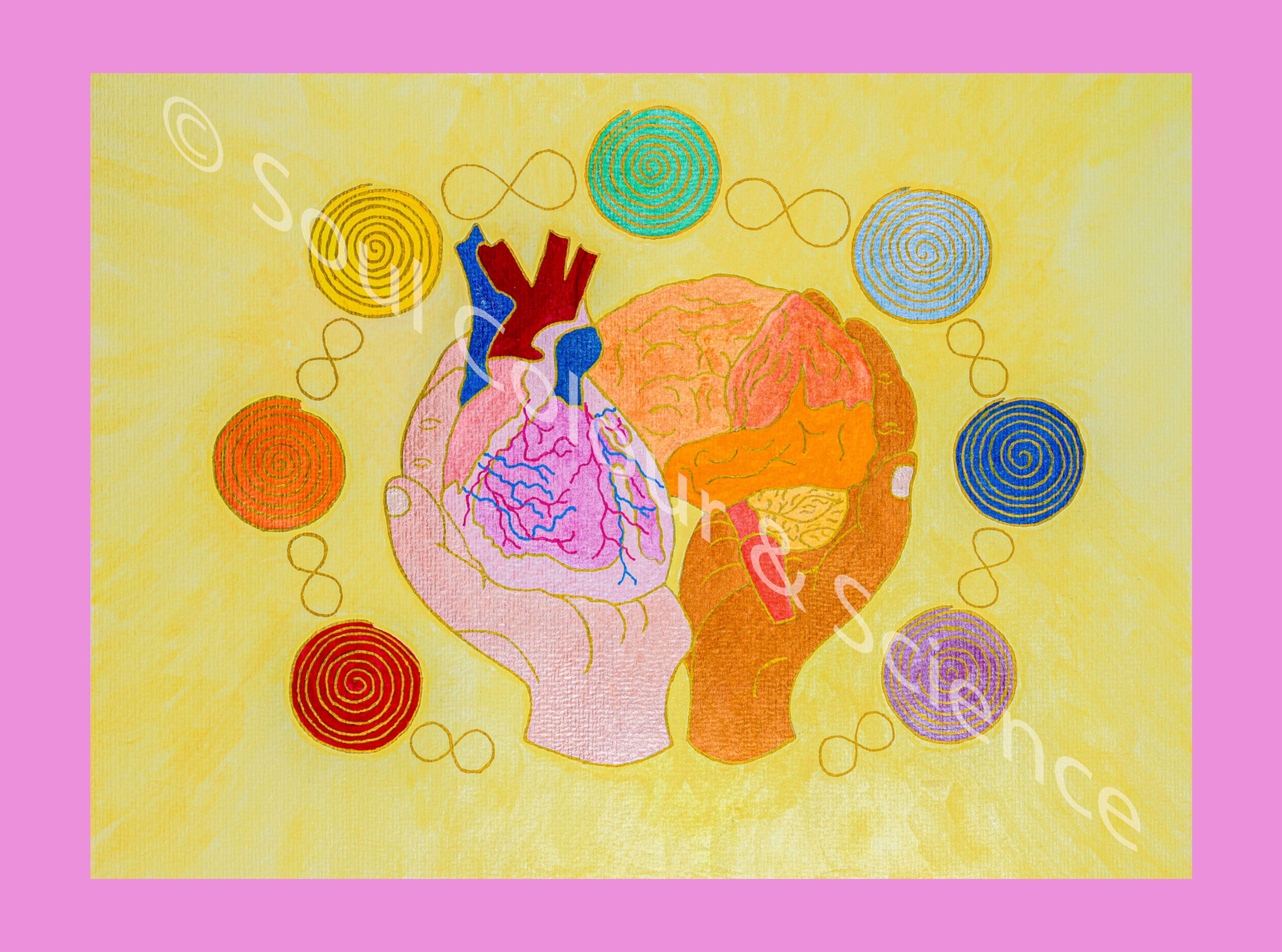 Anatomie Postkarten - Gelbes Logo ohne Blumen