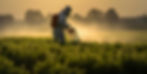 Image of a person spraying fields with Glyphosate wearing a mask and full body gear