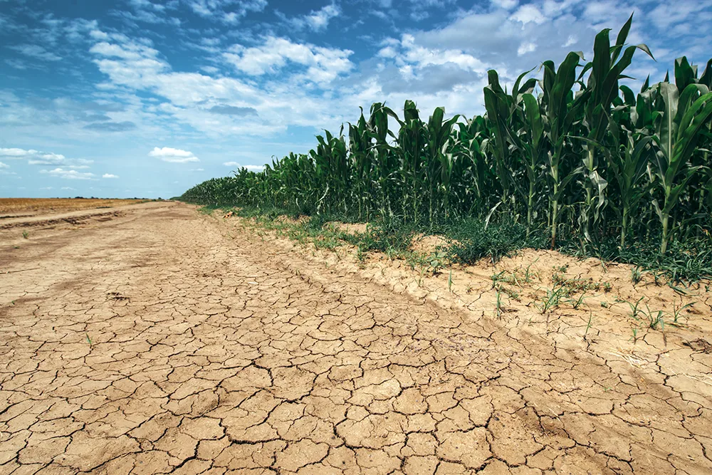 Kansas Landowners Look for Relief from Drought and Heat