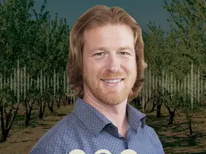 Almond Growers Finally Seeing Some Stability After Years of Tough Decisions