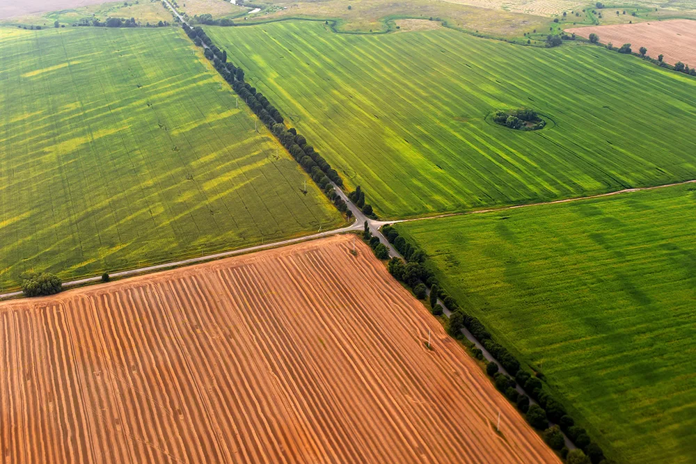 Illinois Farmland Cash Rents Fall for Second Straight Year, University of Illinois Report Shows