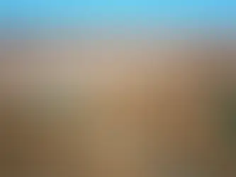 Aerial Farmland View