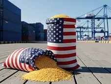 American flag bag filled with corn spilled out