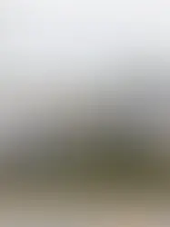 Tyson Processing Plant