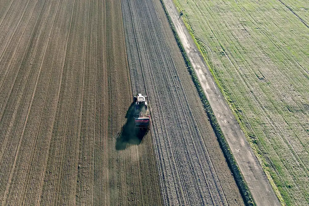 Fed Economists: Agriculture Showing Resilience Despite Ongoing Challenges 