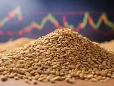 Grains withe economic graph