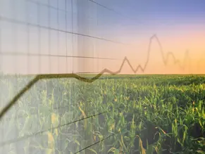 Graph overlay over corn farmland