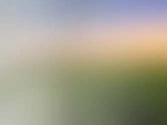 Graph overlay over corn farmland