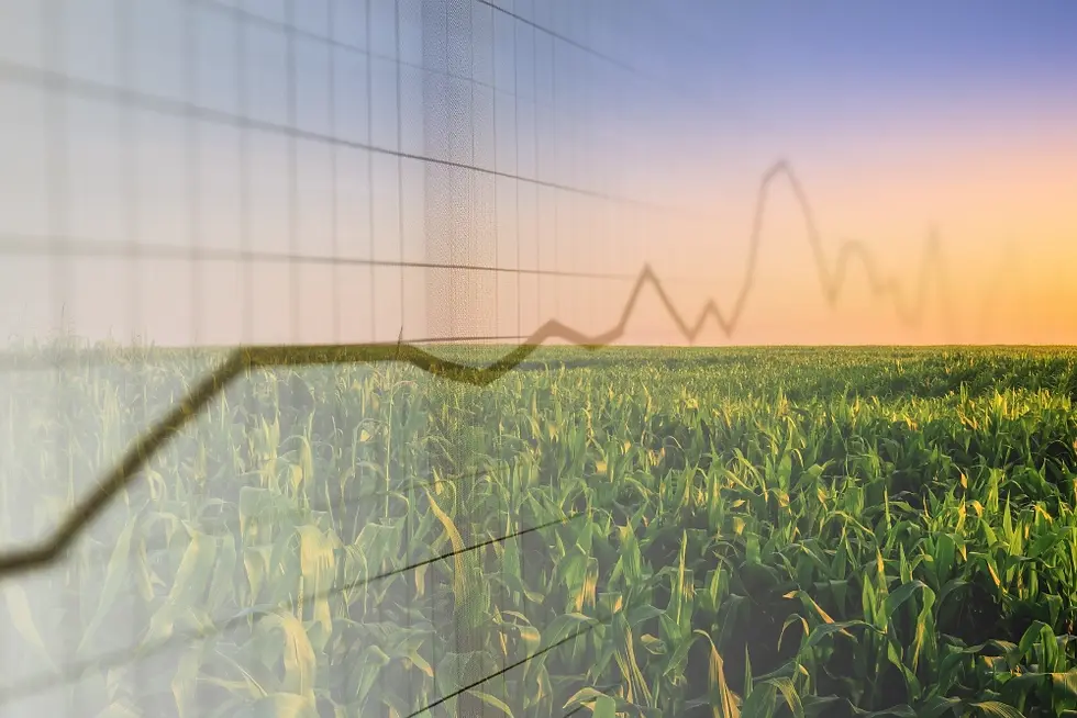 Graph overlay over corn farmland