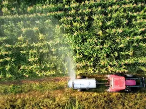 aerial view of fertilizer application over corn field