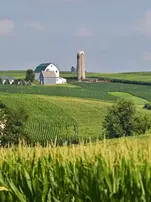 Traditional Family Farm landscape