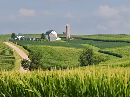 Traditional Family Farm landscape