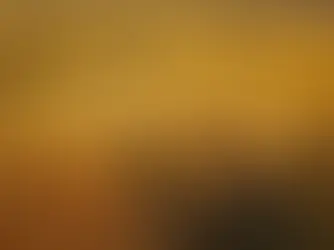 Aerial view farmland australian