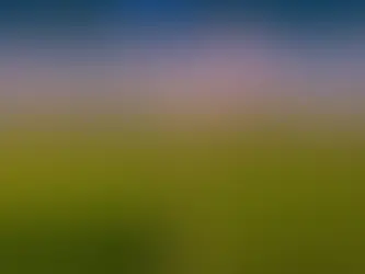 Aerial view of farmland with graph overlay