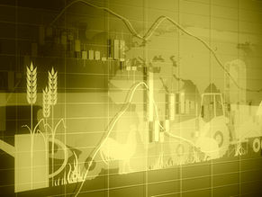 The Weight of Interest Rates in 2024