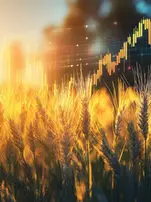 Wheat field with decorative graph imposed