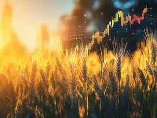 Wheat field with decorative graph imposed