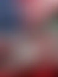 American Iranian Flag