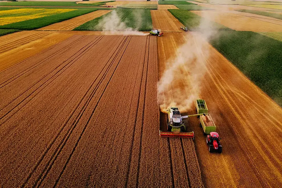Wheat Harvest 