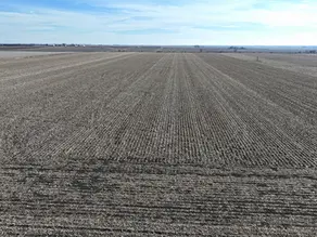 Farmland aerial view