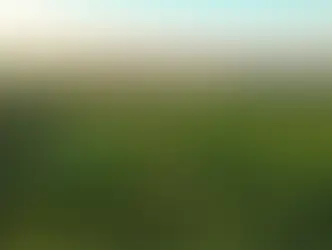 Aerial view of Iowa Farmland