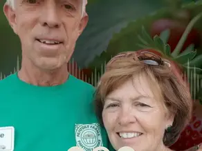 Champaign Berry Farm: Owners Hope More Farmers Choose to Grow Berries