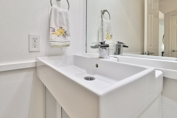 eLaundry and Powder3.jpg